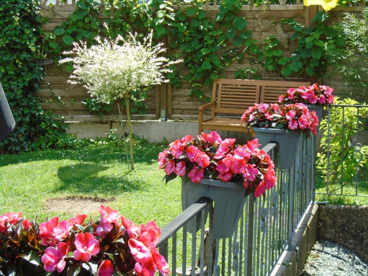 Haus Sonneneck Hotel Медебах Екстериор снимка